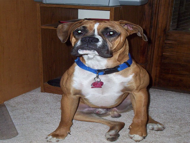 Jake 10 months old