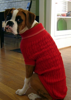 jake 5 mos.