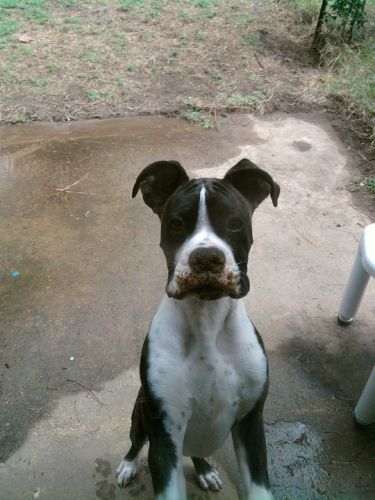 Jake 5months