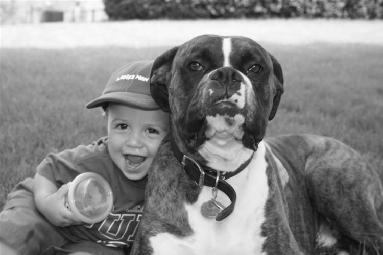 Jake and Brutus