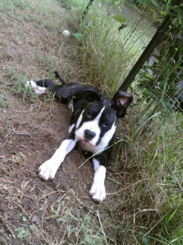 Jake at 4 months