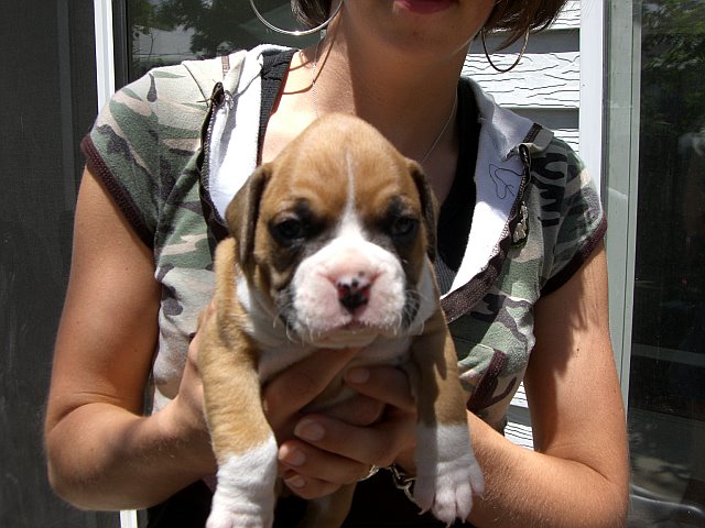 Jake at 5 Weeks