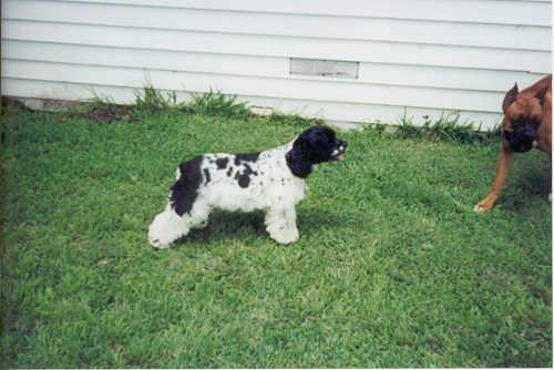 Jake checking things out