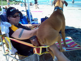 Jake chillin at the beach