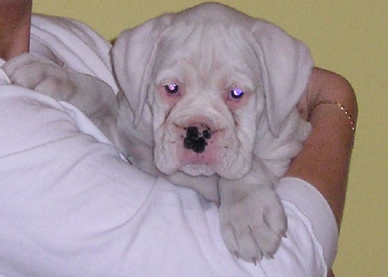 Jake Day 1