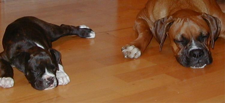 Jake & Ellie
