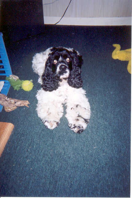 Jake Feb 2002