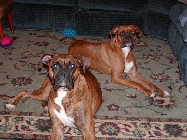 Jake & Hope