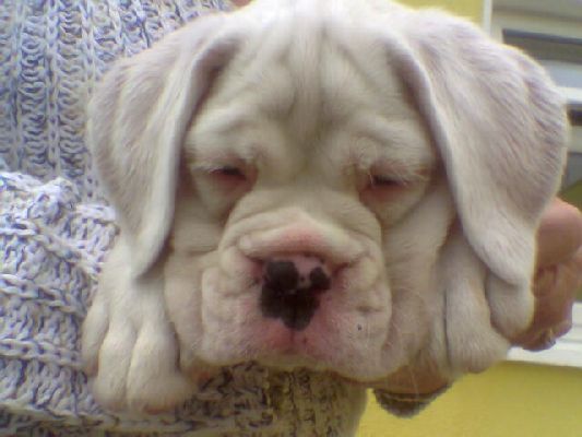 Jake Sleeping