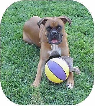 Jake w ball