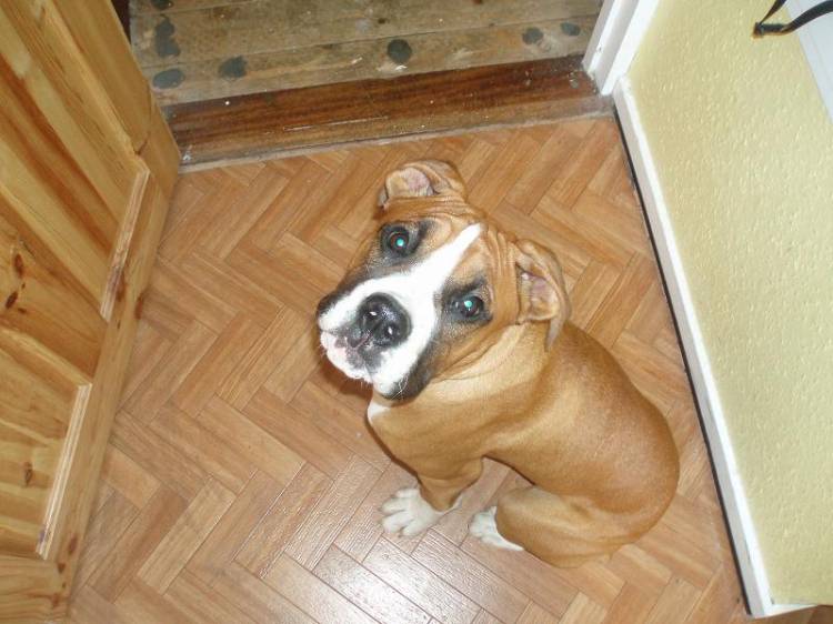 jake waiting to use the bathroom!
