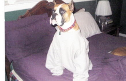 Jake Wearing A Sweatshirt