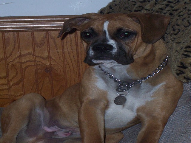 Jake
