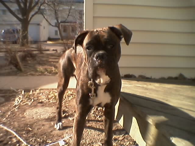 jake