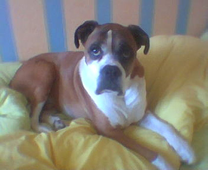 Jake_in_littleroom