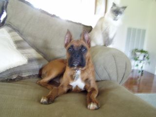 Jakin and Neo