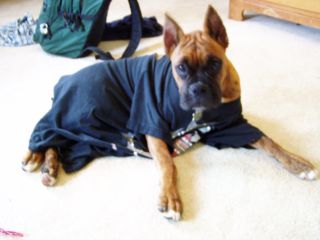 Jakin sporting the t-shirt