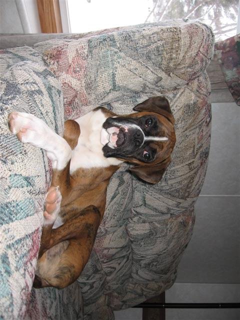 January 2006