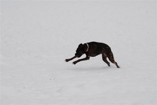 january_2011_105_Small_