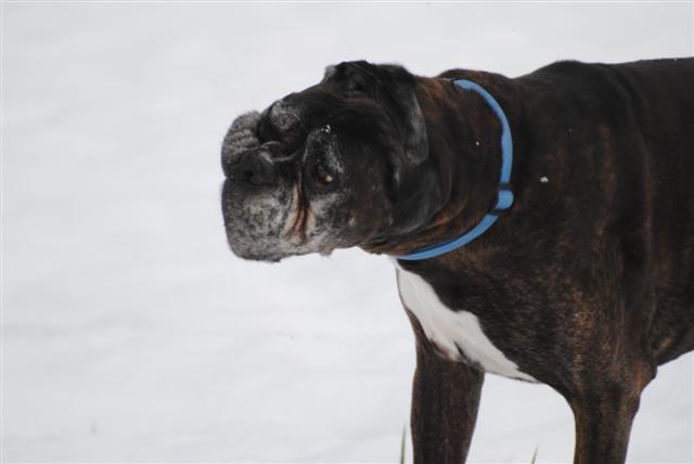 january_2011_122_Small_