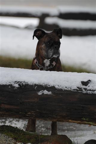 january_2011_152_Small_