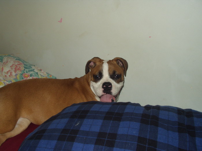 Jasmine at 3 1/2 months