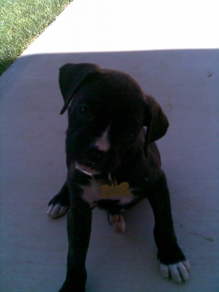Jasper!