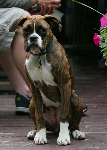 Java at 5.5 months