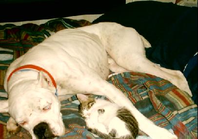 Jax and Rosie