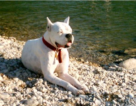 Jax at the River