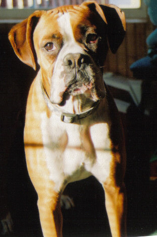 Jax