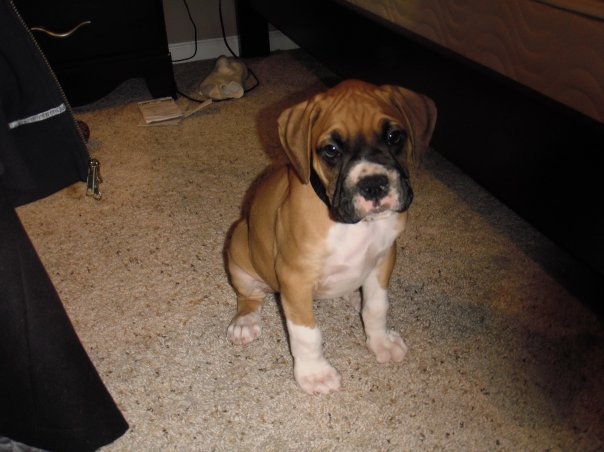 Jaxson