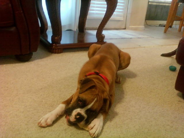 Jay at 6 months