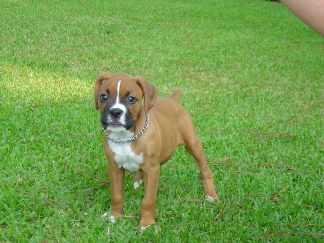 Jayden at 7 weeks