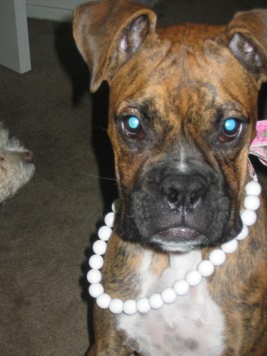 jayden_n_neckles