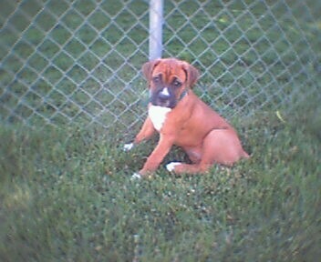 Jaz 9 weeks