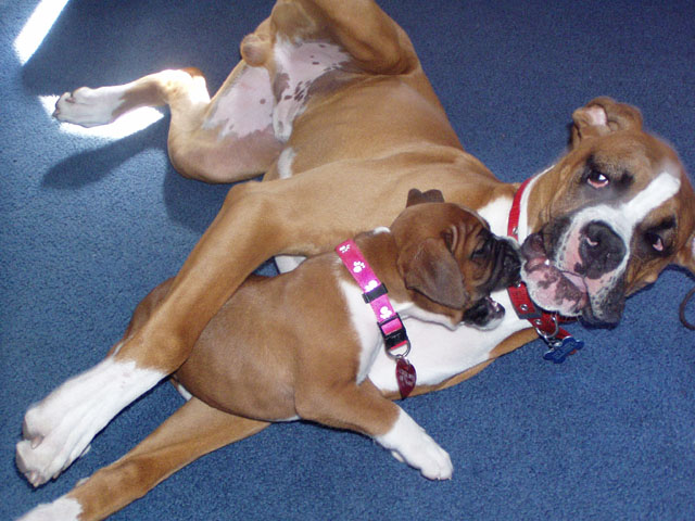 JAZMINE & JAKE