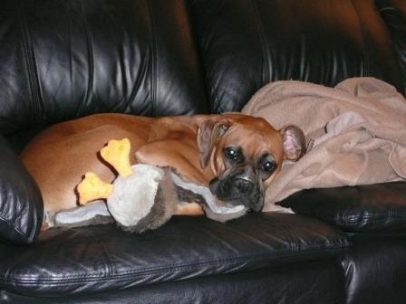 jazmine lounging around with her friend