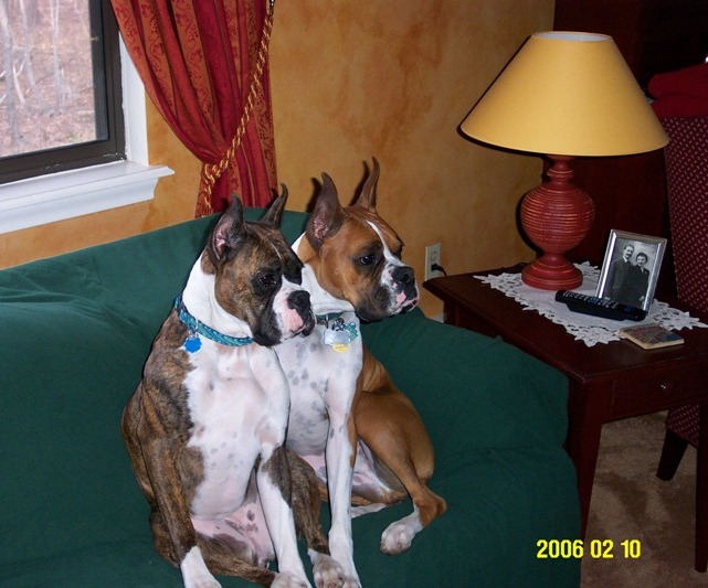 Jazz and Jesse portrait