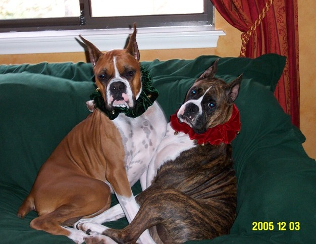 JazznJesse Xmas 2005