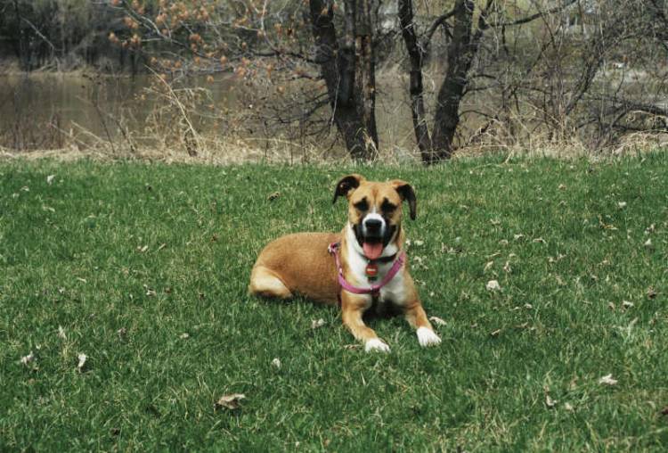 Jazzy Girl