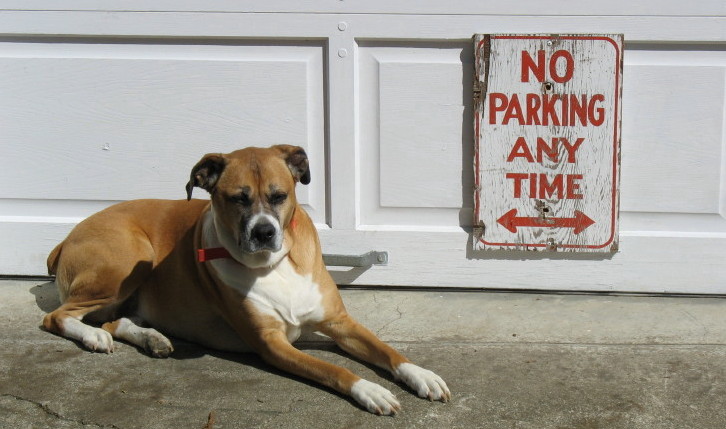 Jazzy Suntanning by the shop door