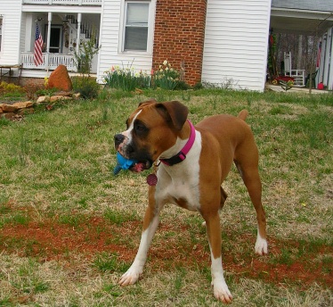 Jazzy