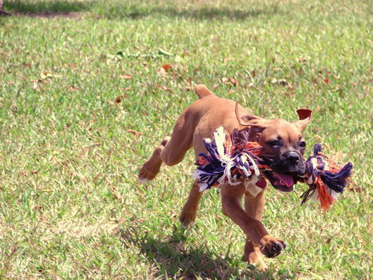 Jenna and toy
