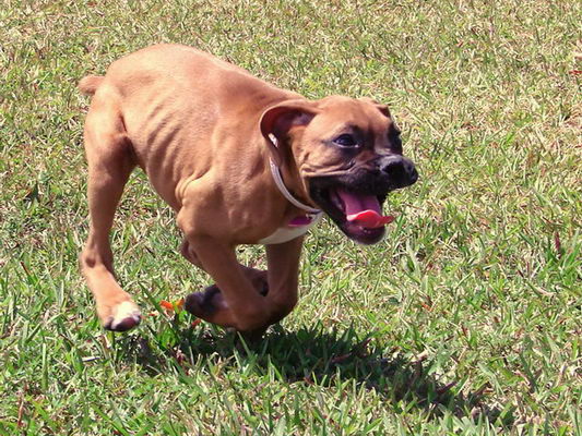 Jenna Running