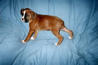 Jenna's Baby Picture