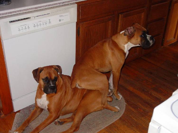 Jenny & Calla relaxing