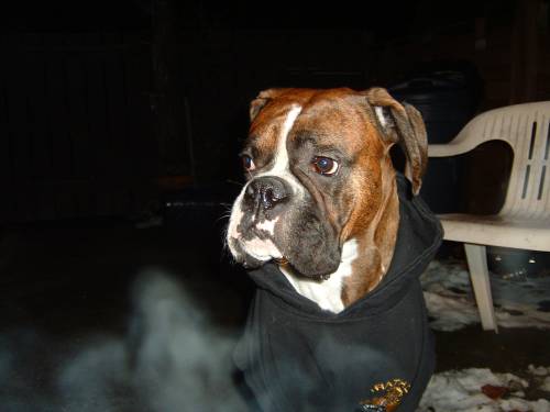 Jersey 2 years 3 months