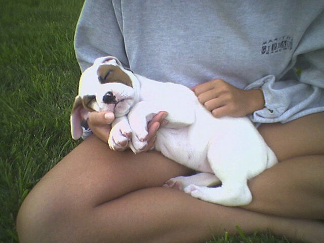Jersie_sleeping3