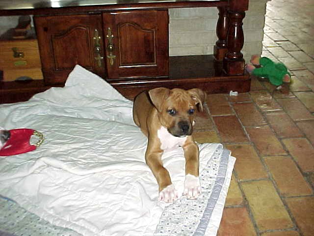 Jess 10 Weeks - Look at Me!